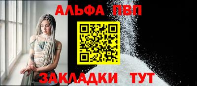 гашик Кингисепп