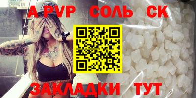 гашик Кингисепп
