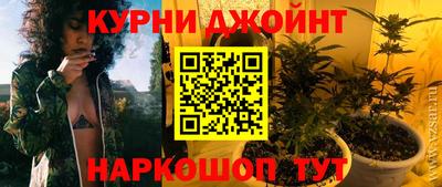 гашик Кингисепп