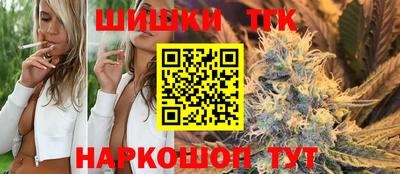 гашик Кингисепп