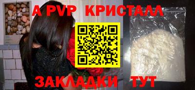 гашик Кингисепп