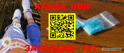 гашик Кингисепп